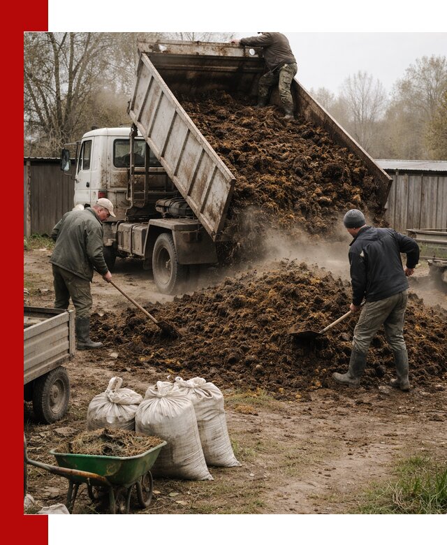 Доставка коровьего навоза самосвалом в Шумерле